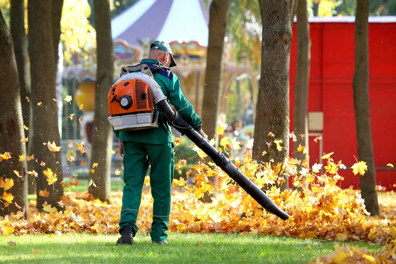 a man with a leaf blower clearing a yard