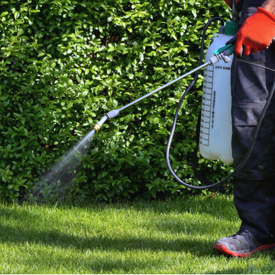Defending Your Lawn From Common Spring Lawn Diseases